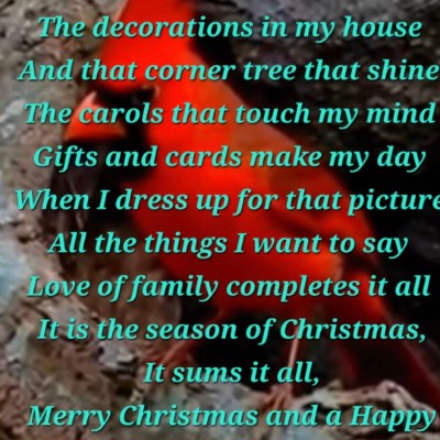 🦜BIRDWATCHERS🦜 🦜BIRDWATCHERS🦜 post image