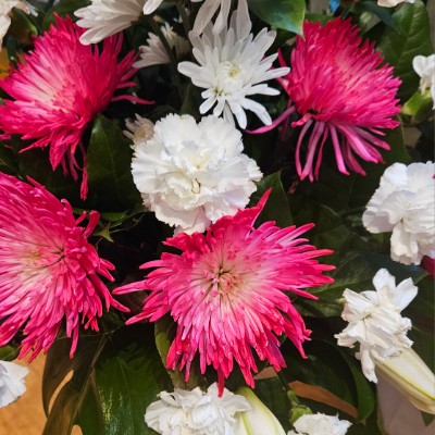 🌎WORLD WALKERS 🌎 🌎WORLD WALKERS 🌎 post image