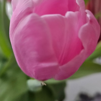 Los Caminantes Los Caminantes post image