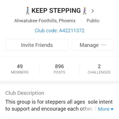 Diplomat Walking Challenge Diplomat Walking Challenge post image