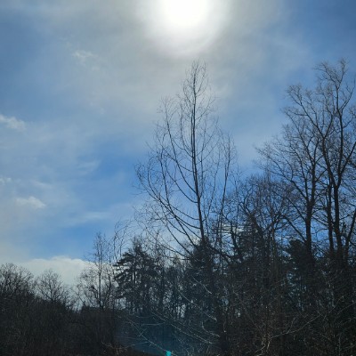 🏞SPRING WALKS🏞 🏞SPRING WALKS🏞 post image