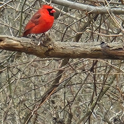 💕VALLEY STEPS💕 💕VALLEY STEPS💕 post image