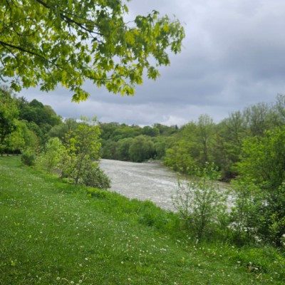 Маленькие зеброчки Маленькие зеброчки post image