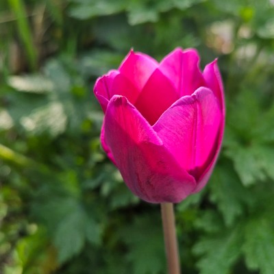 SOMALIA πΈπ΄ PACERS SOMALIA πΈπ΄ PACERS post image