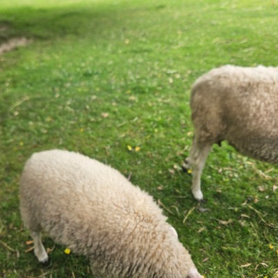 🇵🇱😍BEAUTIFUL POLAND😍🇵🇱 🌄SUNSHINE🌄 post image