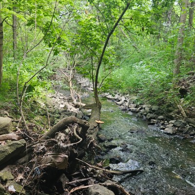 🇵🇱😍BEAUTIFUL POLAND😍🇵🇱 🌄SUNSHINE🌄 post image