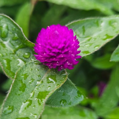 🎊Les Sportifs🎊 🎊Les Sportifs🎊 post image