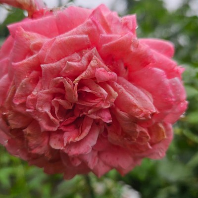 🌎🇺🇸NEW YORK🇺🇸🌎 🌎🇺🇸NEW YORK🇺🇸🌎 post image