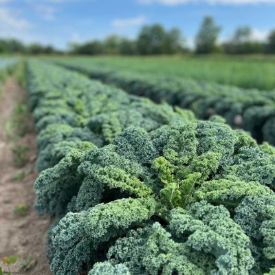 Greet and meet 🏃🏾‍♂️ 🌄SUNSHINE🌄 post image