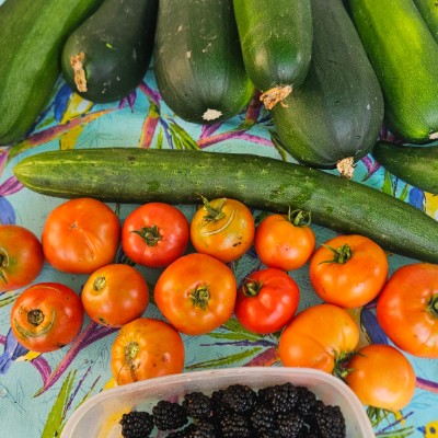 💐🥬🍓🥦GARDENERS 🥦🍓🥬💐 🌄SUNSHINE🌄 post image