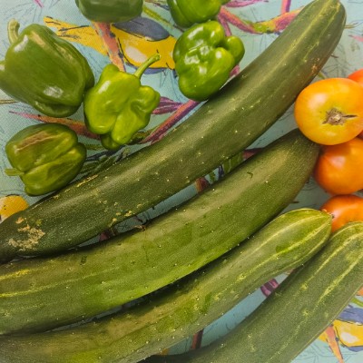 💐🥬🍓🥦GARDENERS 🥦🍓🥬💐 🌄SUNSHINE🌄 post image