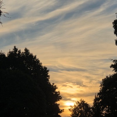 💜WALKING IS HEALTHY💜 💜WALKING IS HEALTHY💜 post image