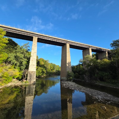 ☕️HAPPY WALKERS☕️ 🌄SUNSHINE🌄 post image