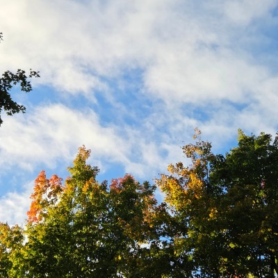 ☕️HAPPY WALKERS☕️ 🌄SUNSHINE🌄 post image