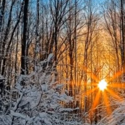 🍁HEALTHY🎉JOURNEY 🍁 🍁HEALTHY🎉JOURNEY 🍁 post image