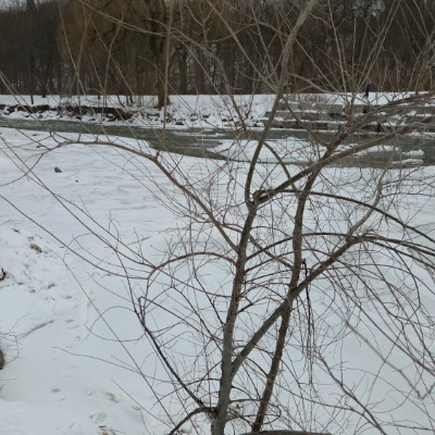 🇵🇰Pakistan Fitness Squad🇵🇰 🌄SUNSHINE🌄 post image