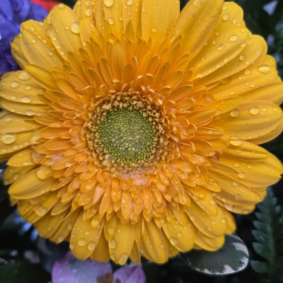 桃園藝文 桃園藝文 post image