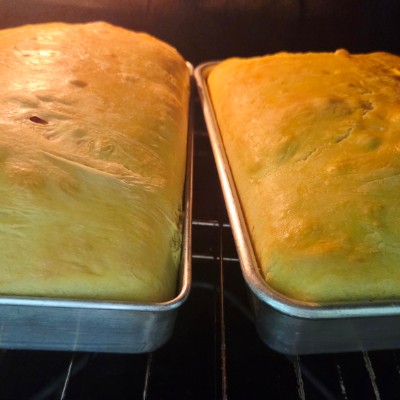 Ceragon Global People Ceragon Global People post image