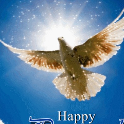 Ceragon Global People Ceragon Global People post image