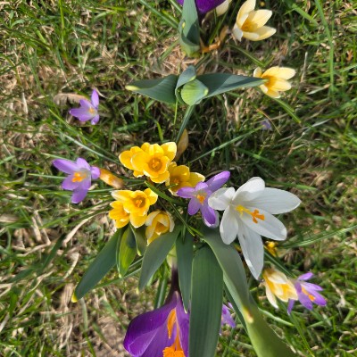 🦋🦜NATURE WALKS🦜🦋 🦋🦜NATURE WALKS🦜🦋 post image