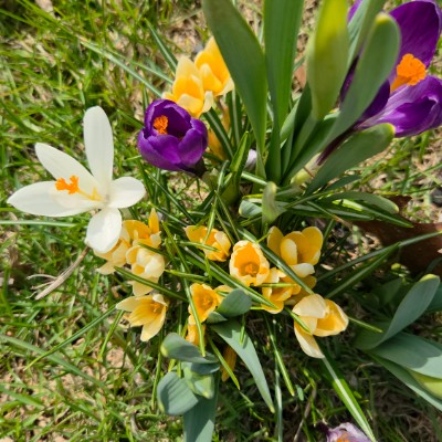 🦋🦜NATURE WALKS🦜🦋 🦋🦜NATURE WALKS🦜🦋 post image