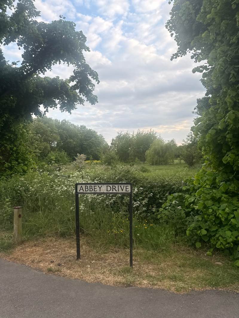 walking near me in Laleham Park in spring