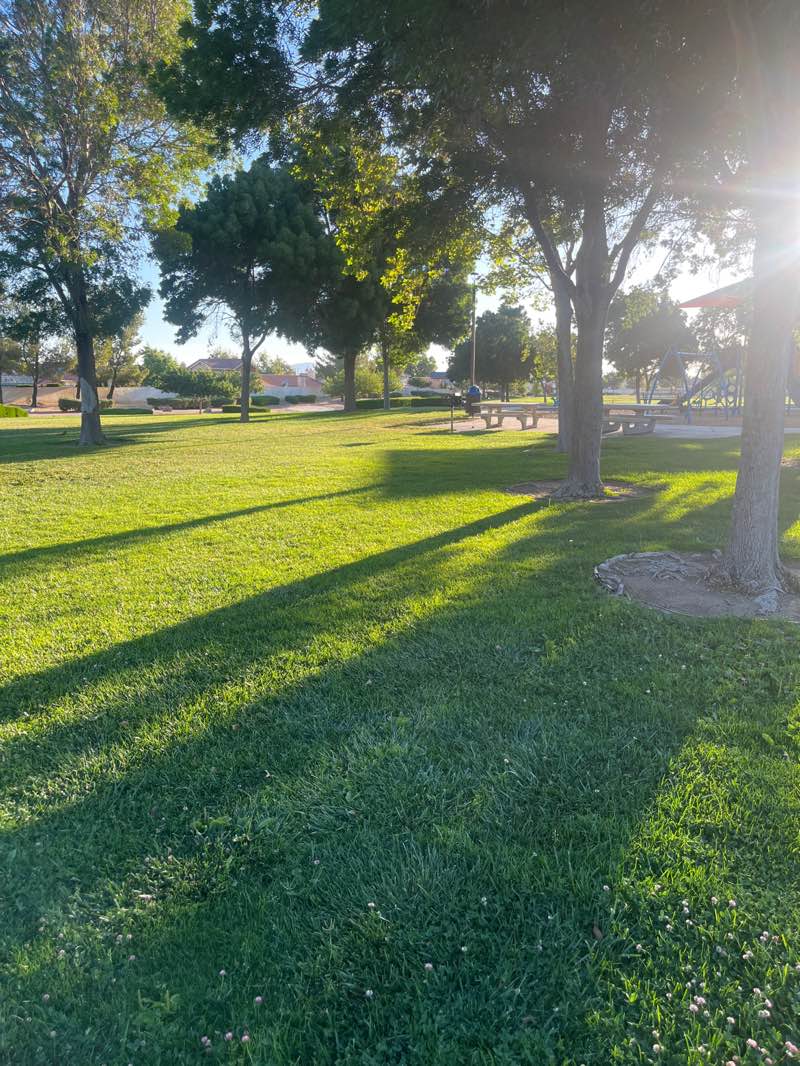 walking near me in Eagle Ranch Park in summer