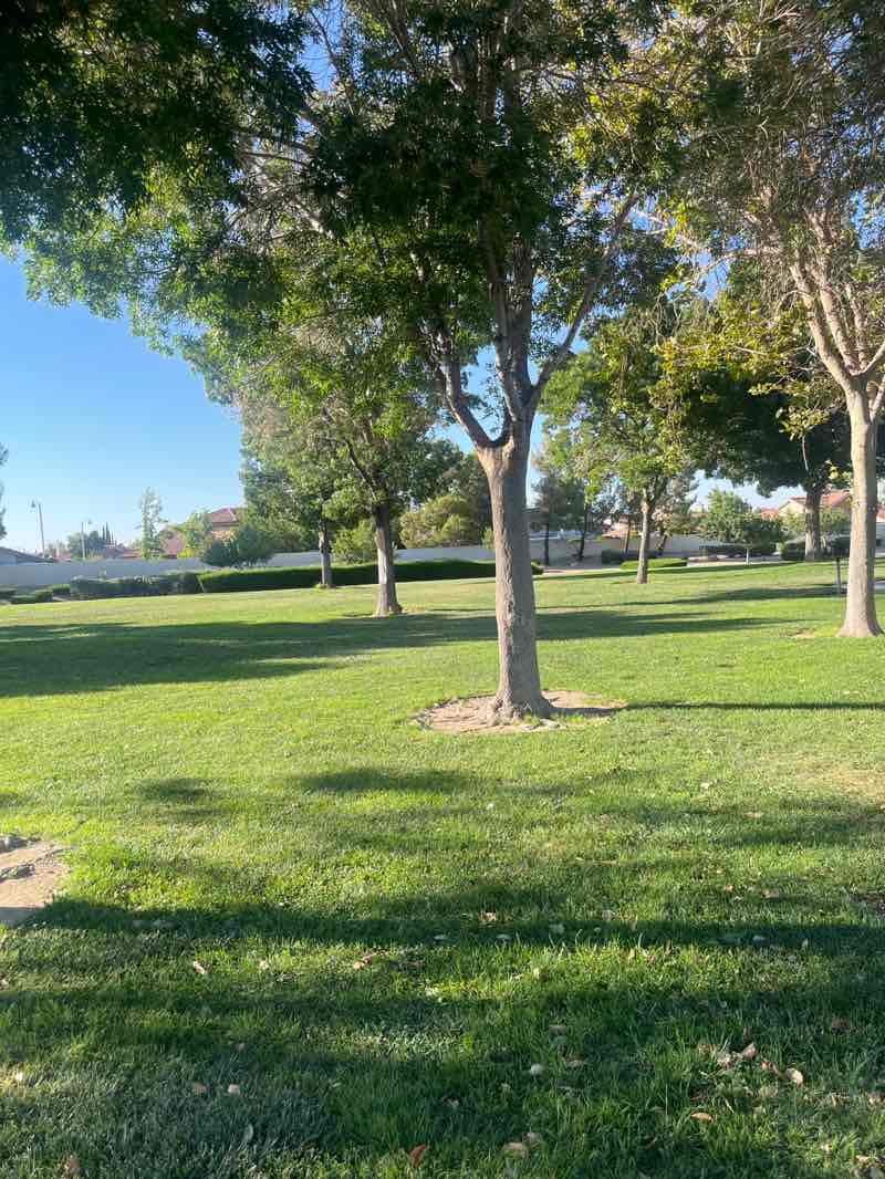 walking near me in Eagle Ranch Park in summer