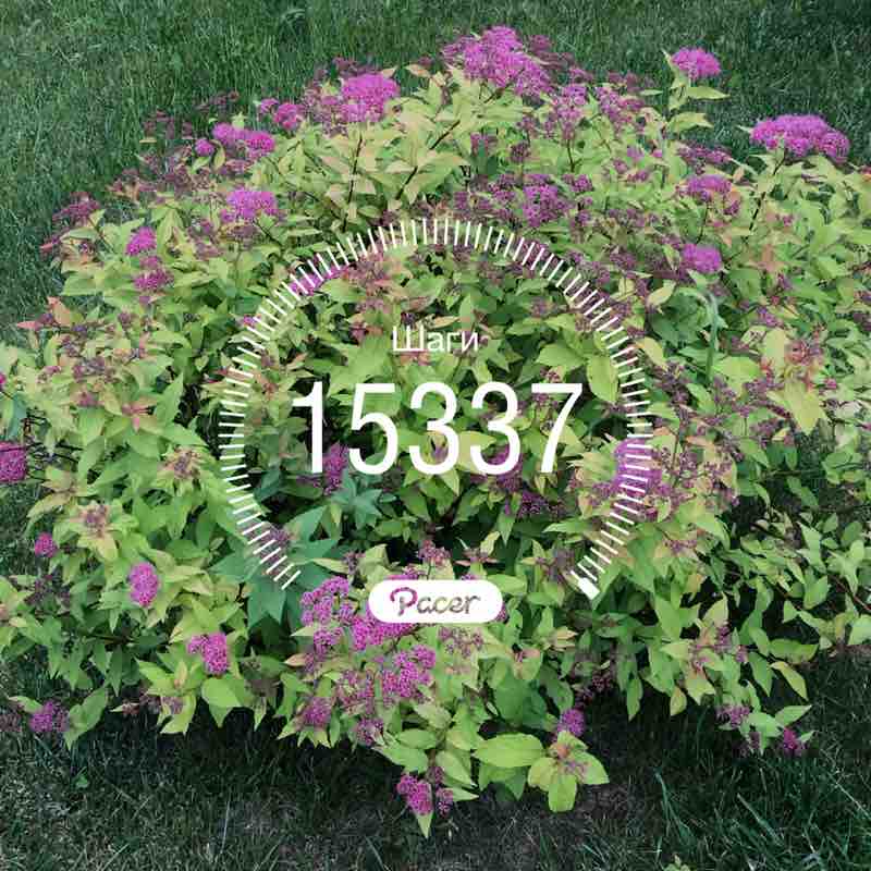 Светлана post 1