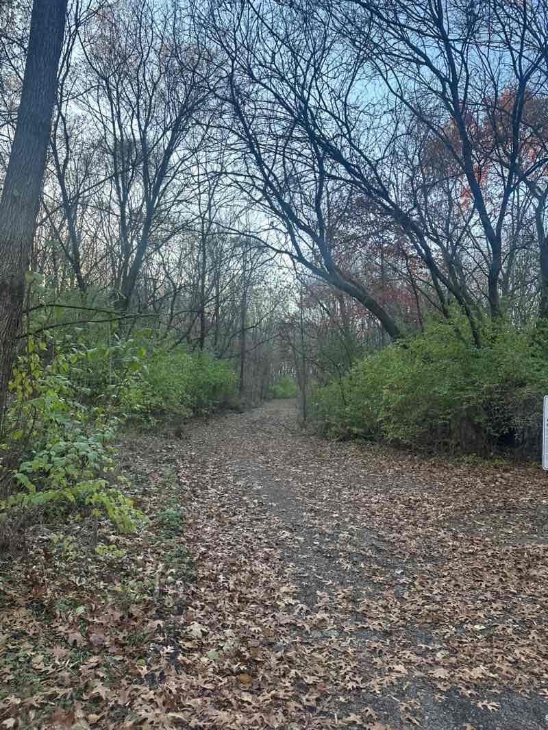 walking near me in Borden Park in autumn