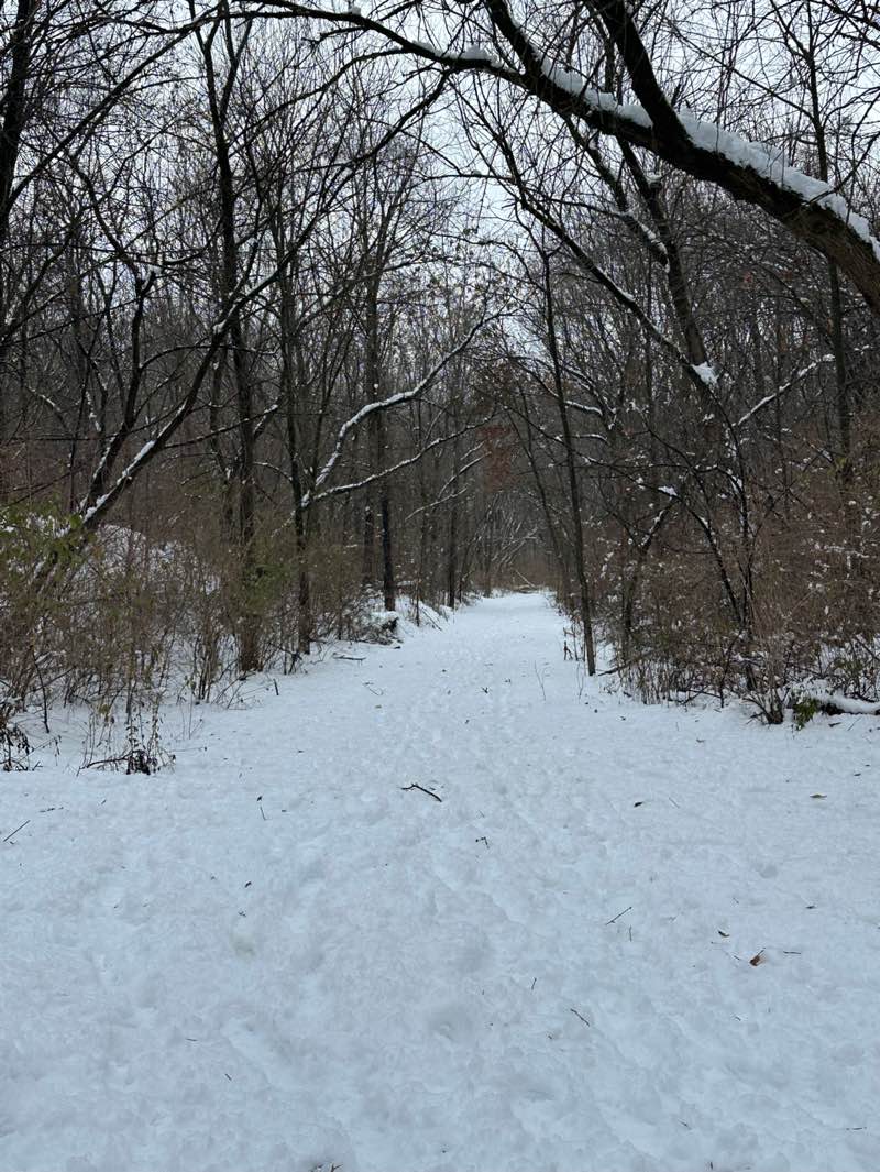 walking near me in Borden Park in winter
