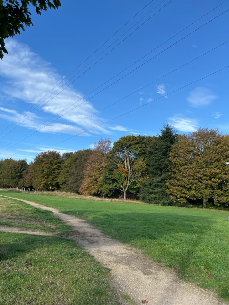 walking near me in South Road Park in autumn