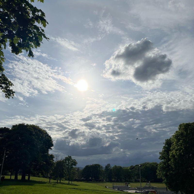 walking near me in Myrekirk Park in summer