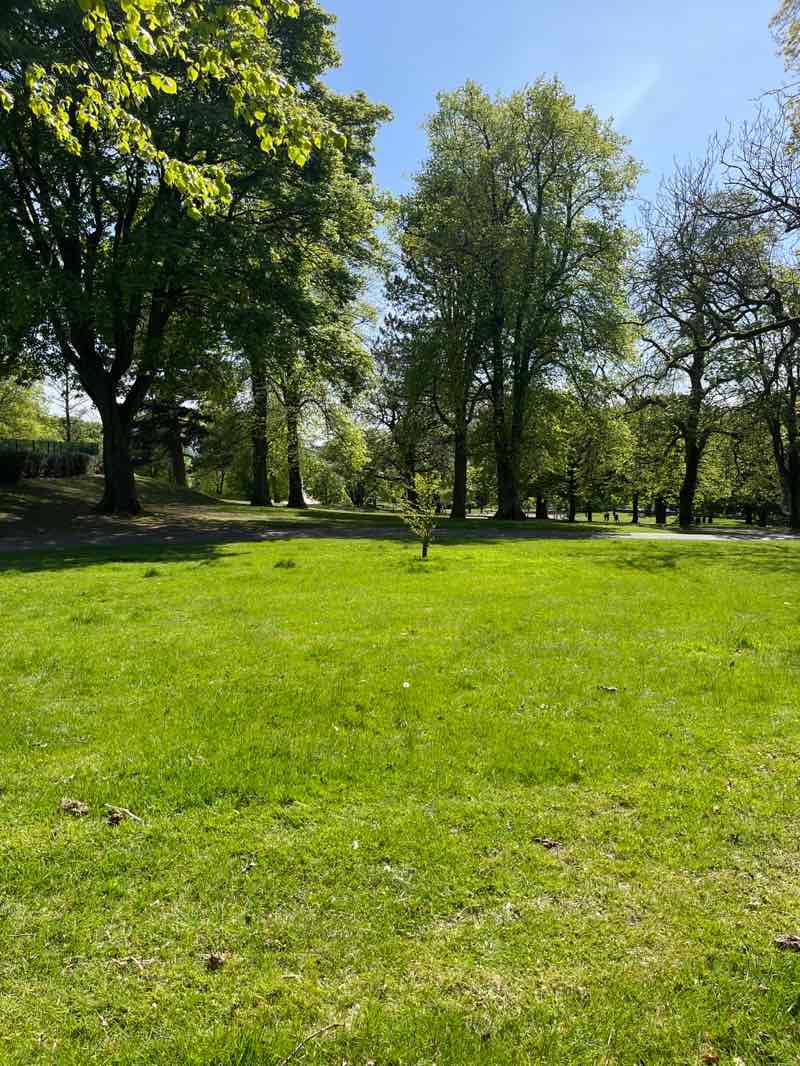 walking near me in Baxter Park in spring