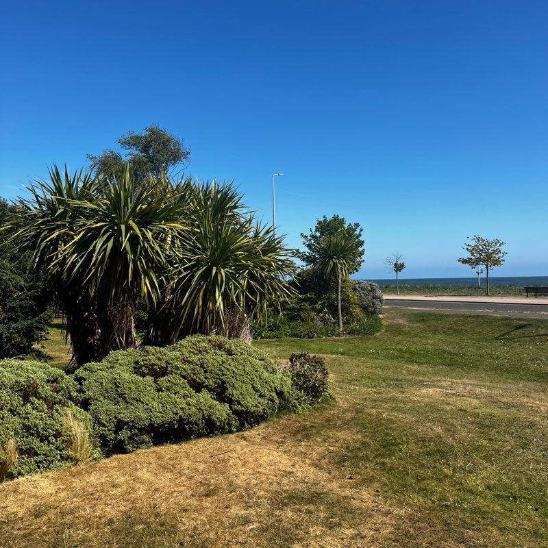 walking near me in Barnhill Rock Garden in spring