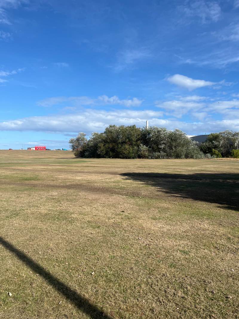 walking near me in Queens Links in autumn