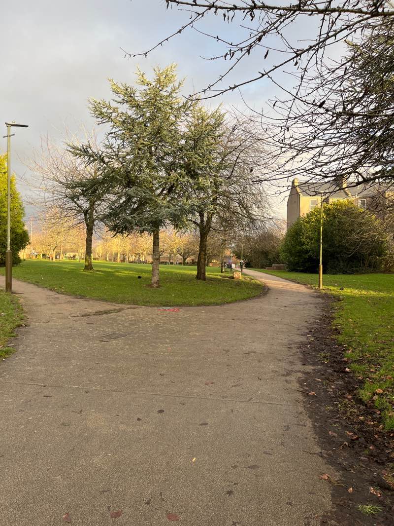 walking near me in Hilltown Park in winter