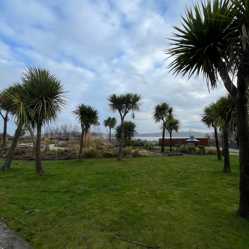 walking near me in Seabrae Park in winter