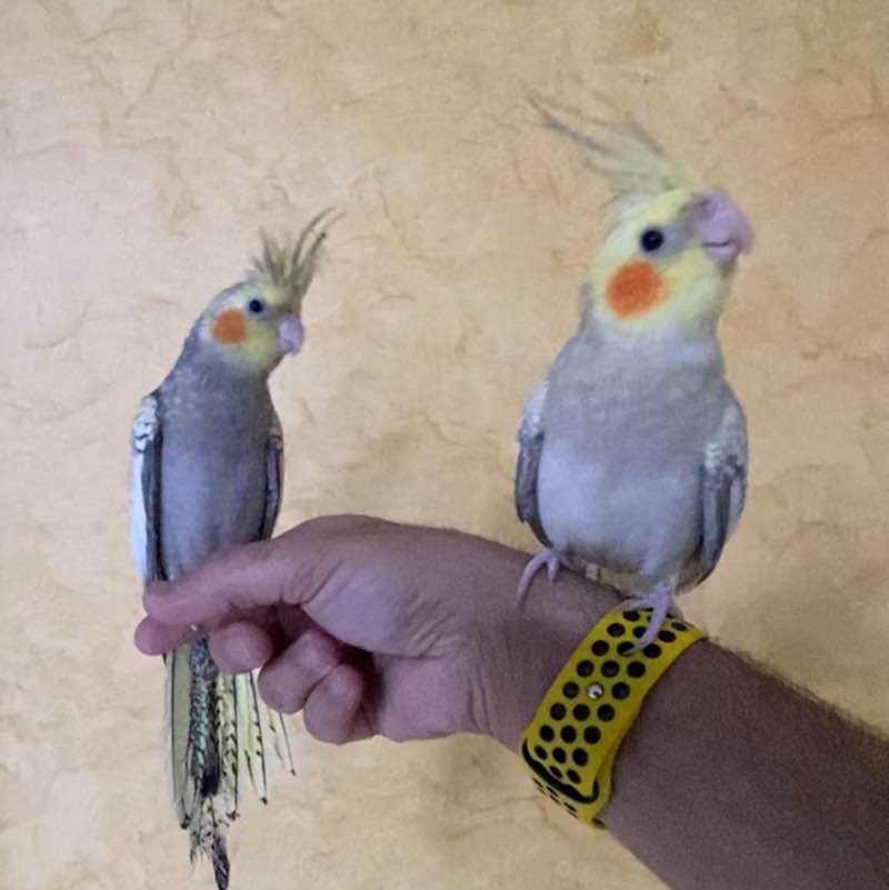 NASSRAWY 💛💙 post 1