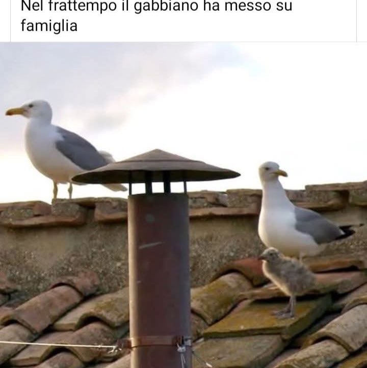 Beppe🇮🇹🏰🇮🇹 post 3