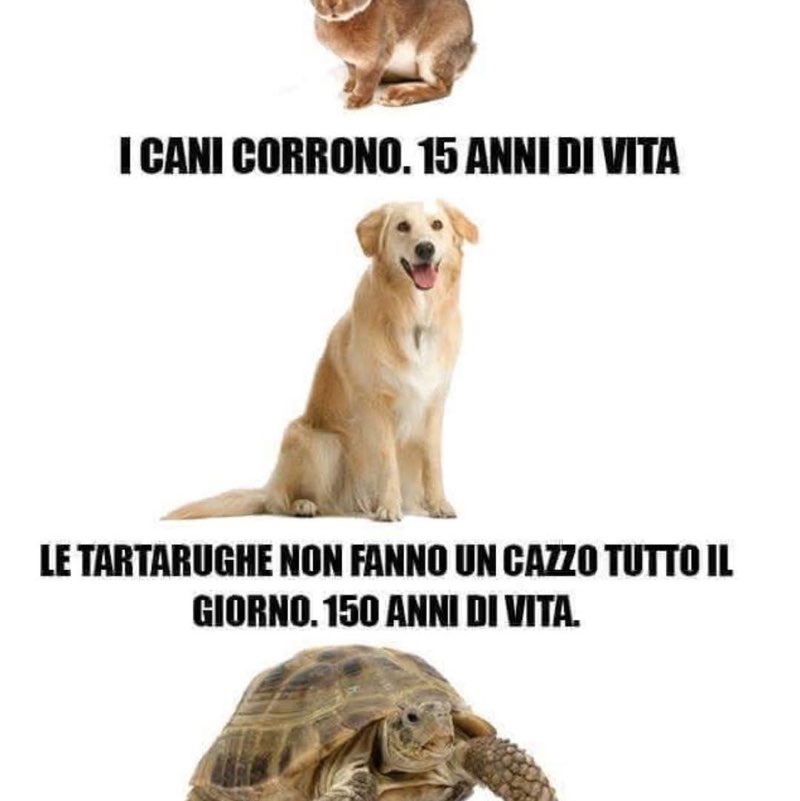 Beppe🇮🇹🏰🇮🇹 post 3