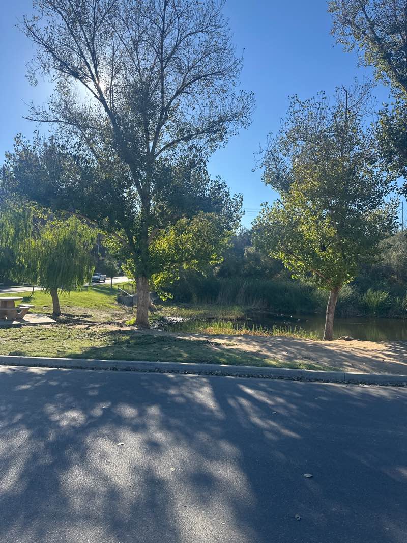 walking near me in Buena Vista Park Pond and Open Space in autumn