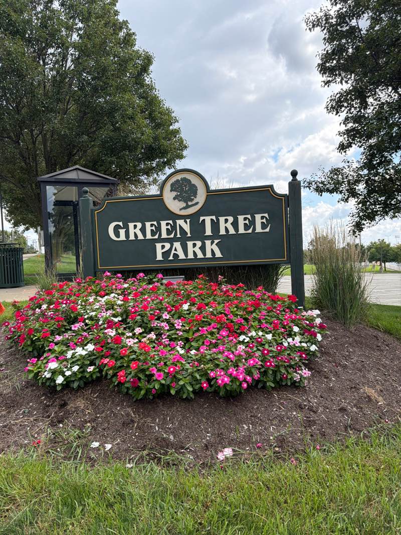 walking near me in Green Tree Park in summer