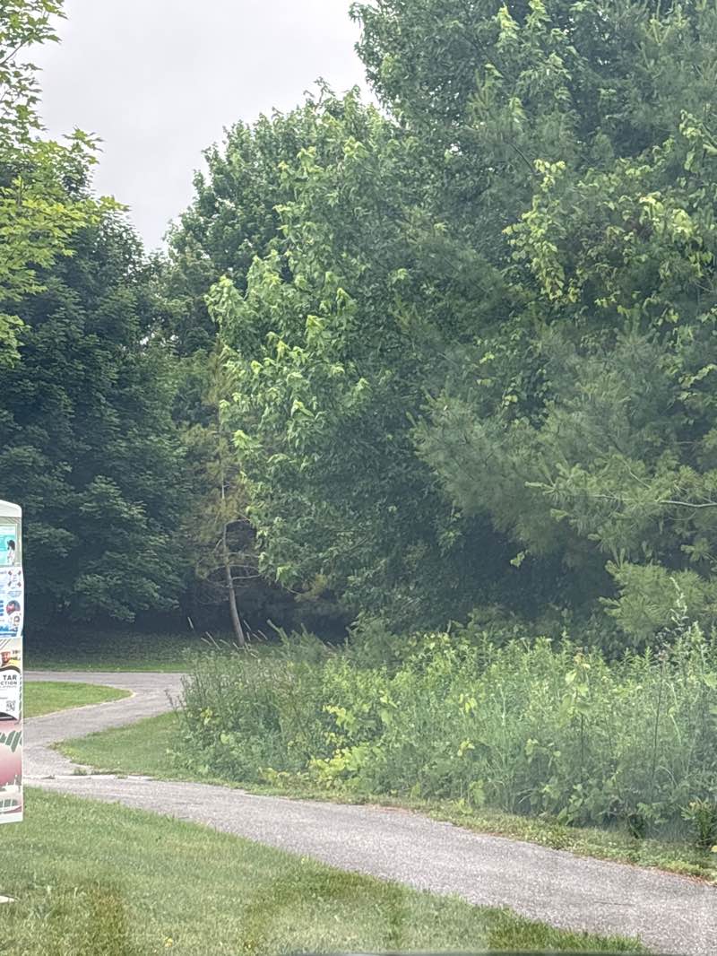 walking near me in Feed Mill Creek Park in summer