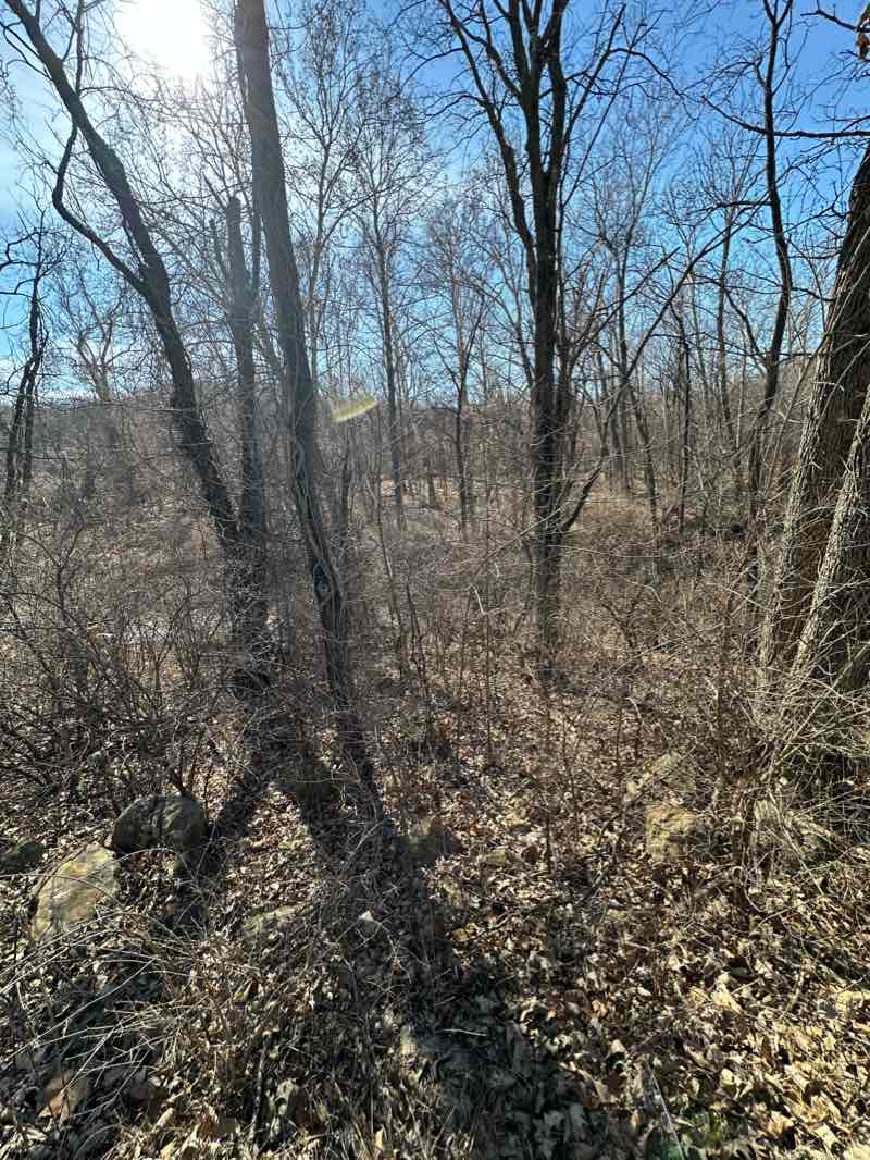 walking near me in Bridge Point Park in winter