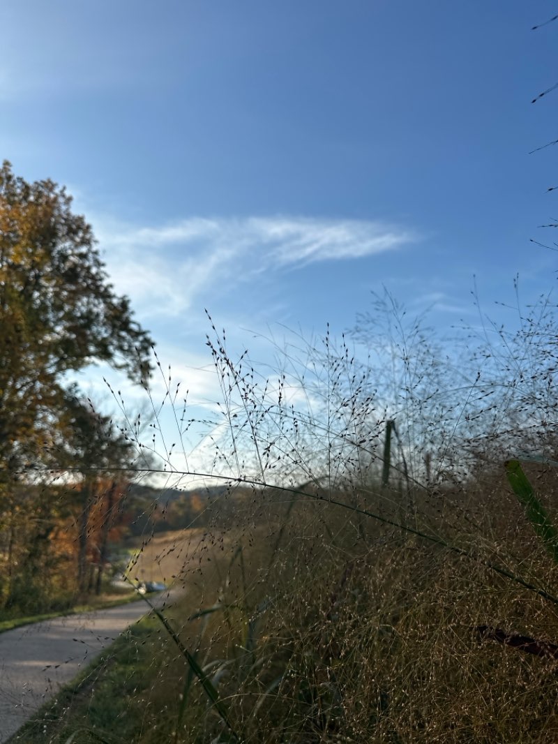 walking near me in Aspire Park in winter