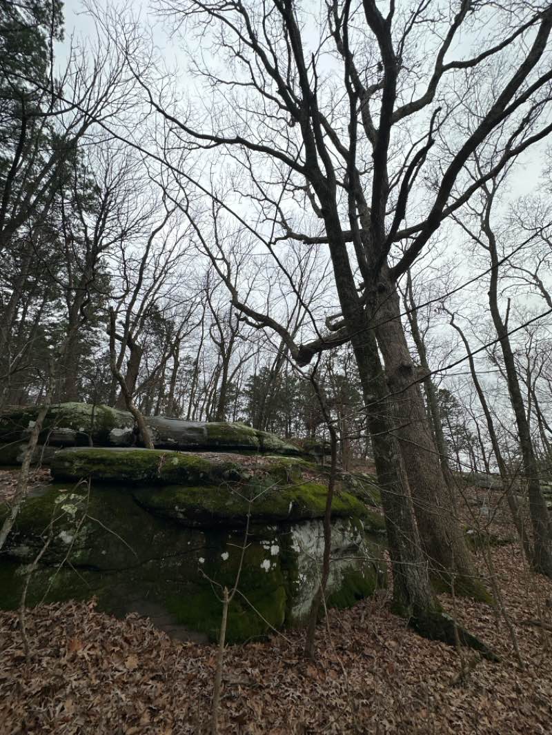 walking near me in Garden of the Gods Recreation Area in winter