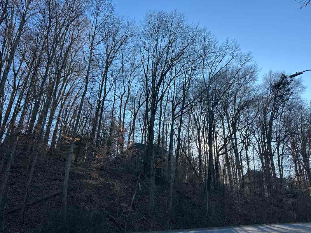 walking near me in Haw Ridge Park in winter