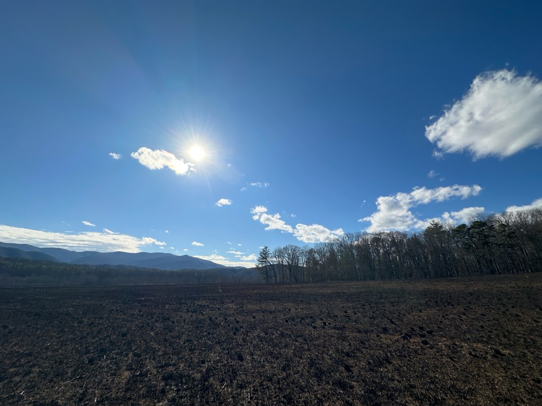 walking near me in Great Smoky Mountains National Park in winter