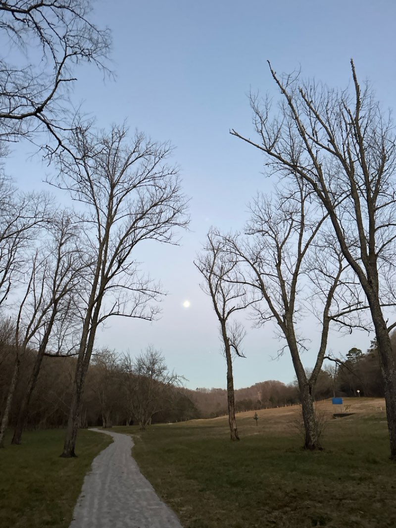 walking near me in Norris Municipal Park and Forest in winter